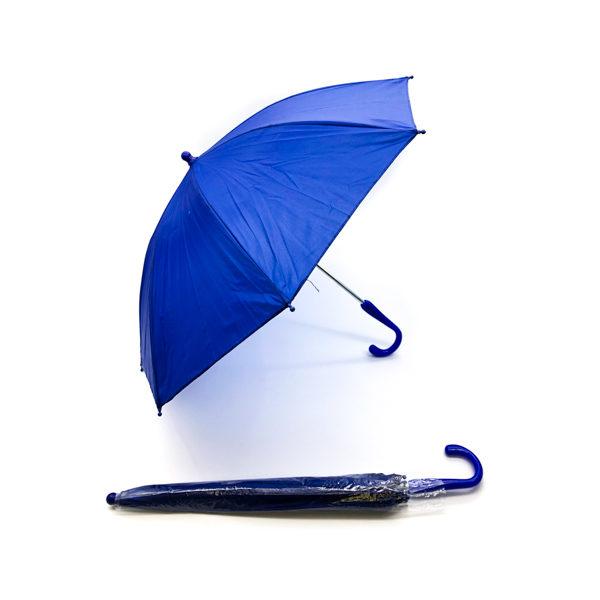 Royal Blue Umbrella